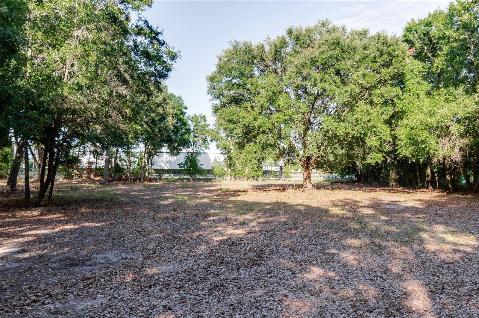 17380 RIVERSTONE DR — photo 61