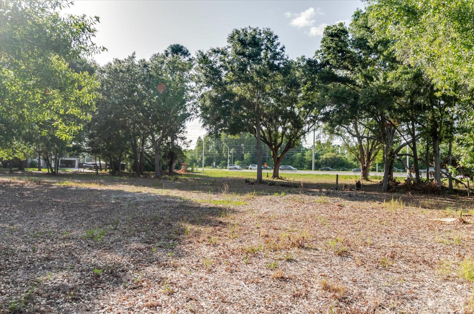 17380 RIVERSTONE DR — photo 57