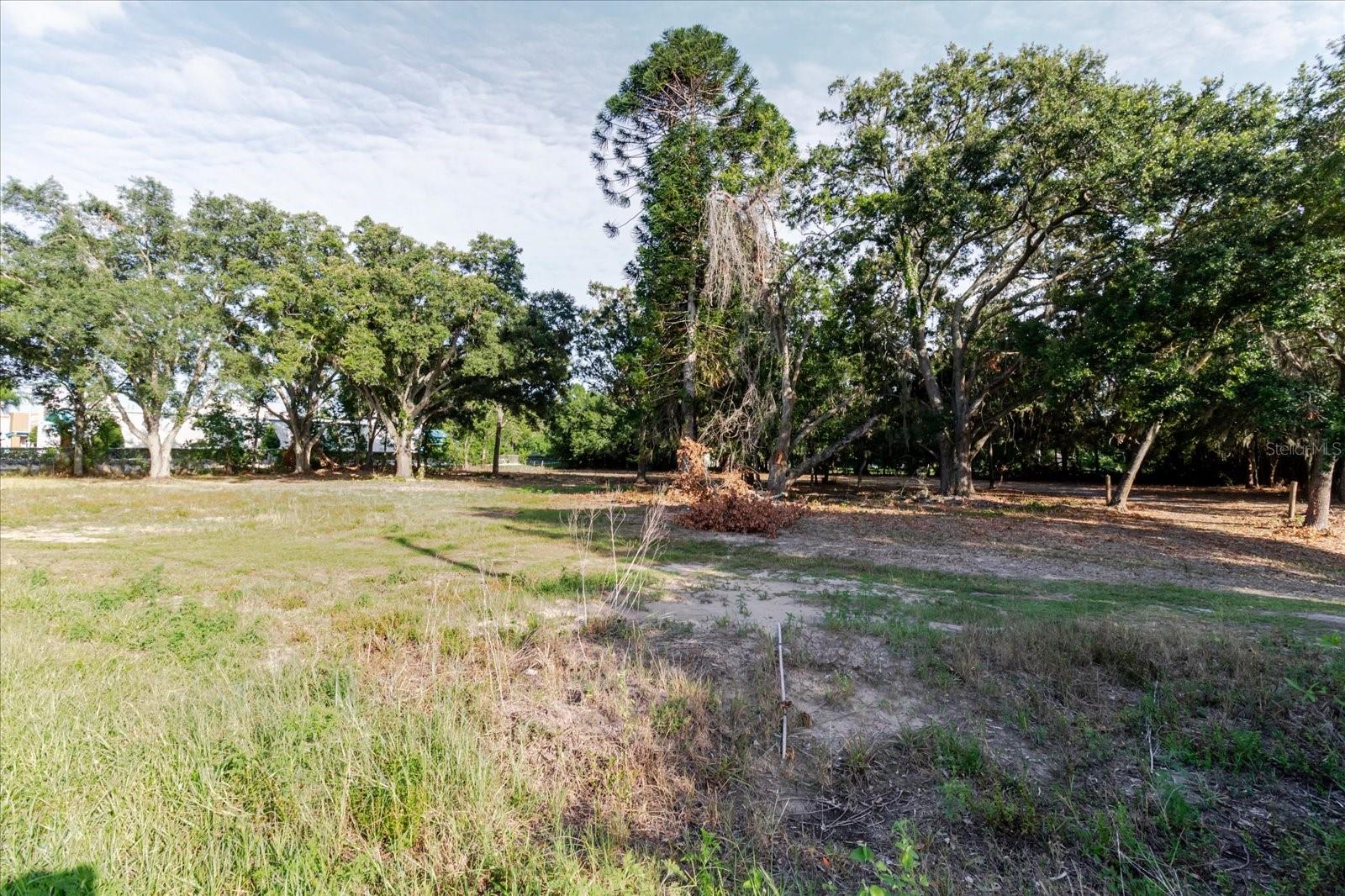 17380 RIVERSTONE DR — photo 68