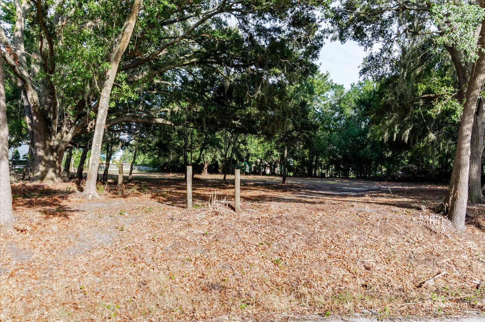 17380 RIVERSTONE DR — photo 39