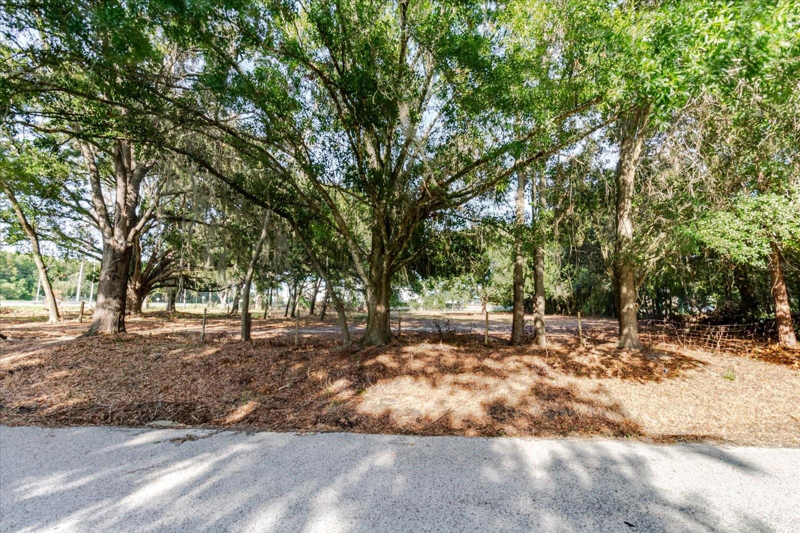 17380 RIVERSTONE DR — photo 41