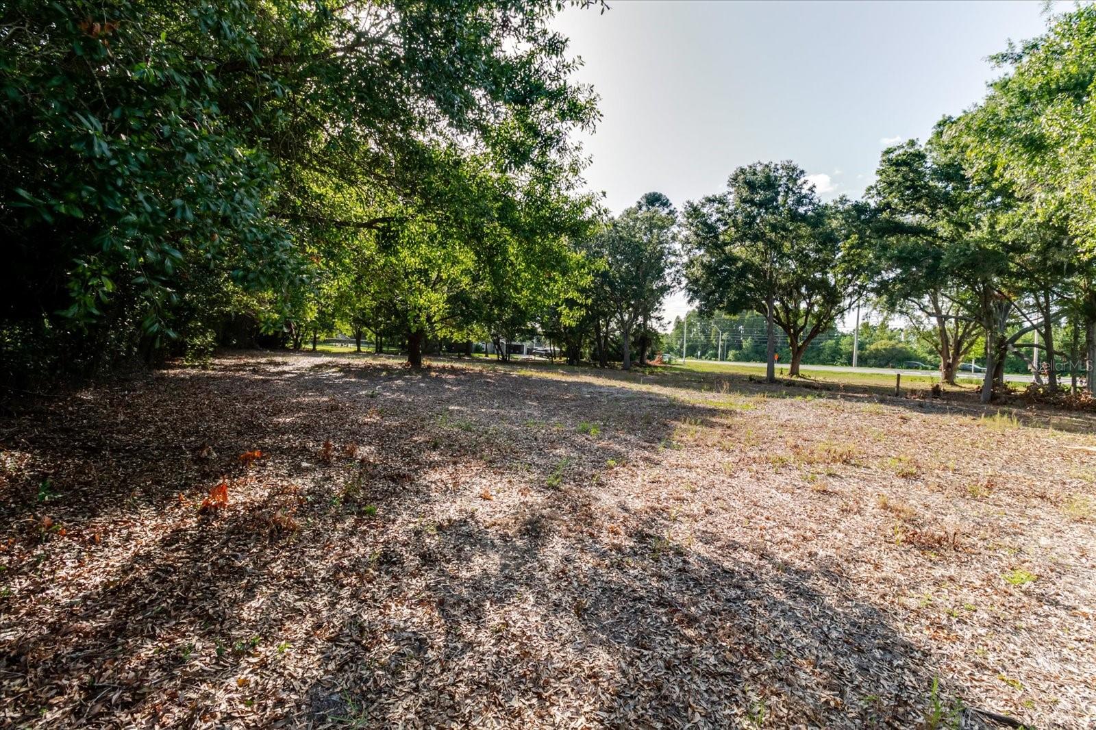 17380 RIVERSTONE DR — photo 48