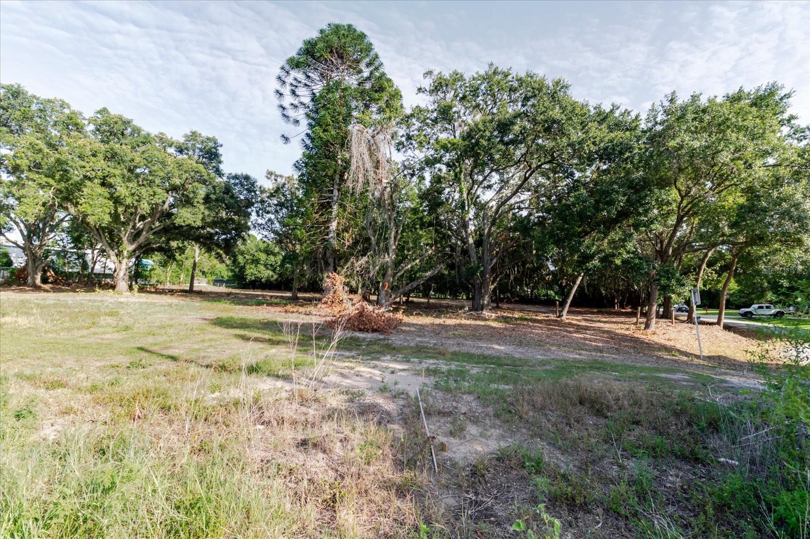 17380 RIVERSTONE DR — photo 50