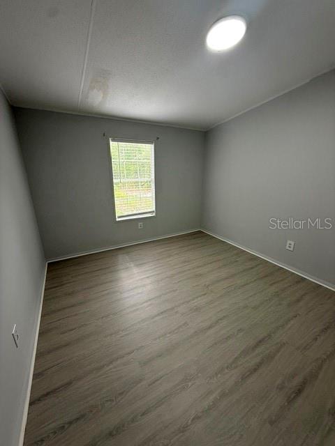 10405 JUNGLE ST — photo 22