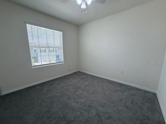 33083 FROSTED CLOVER WAY — photo 35