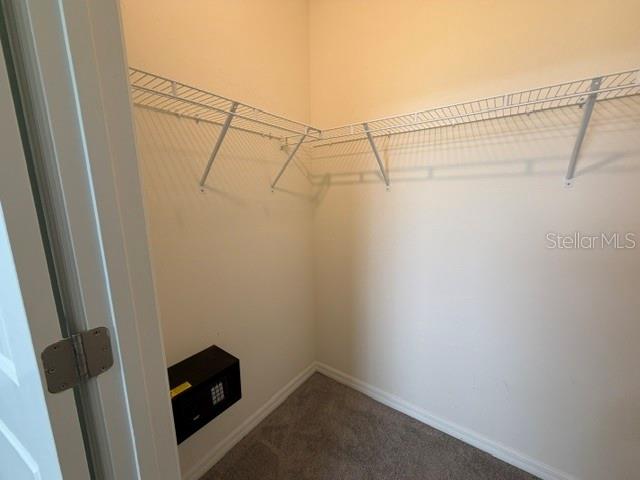33083 FROSTED CLOVER WAY — photo 39