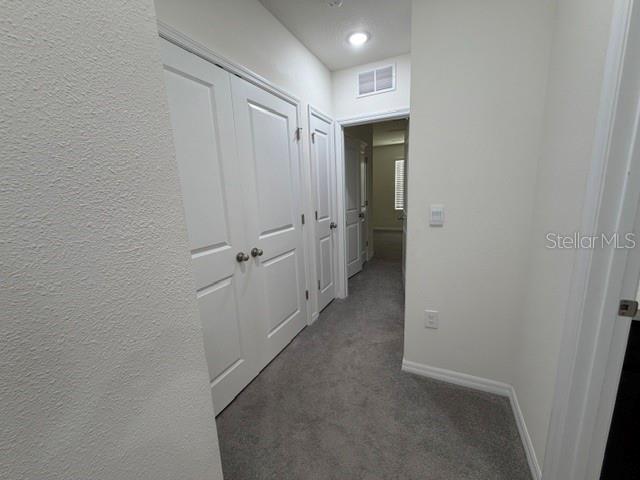 33083 FROSTED CLOVER WAY — photo 22