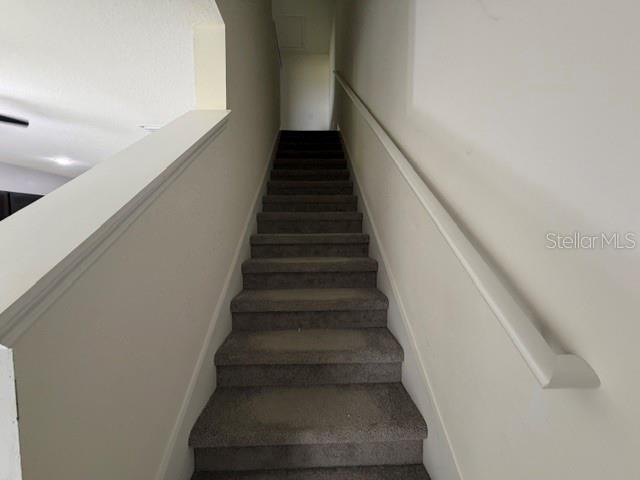33083 FROSTED CLOVER WAY — photo 20