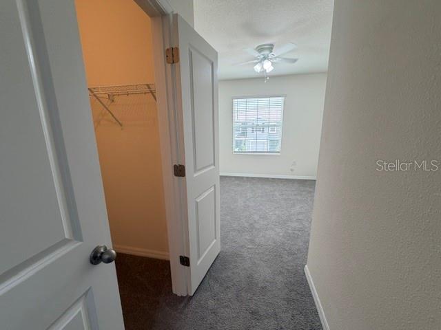 33083 FROSTED CLOVER WAY — photo 32