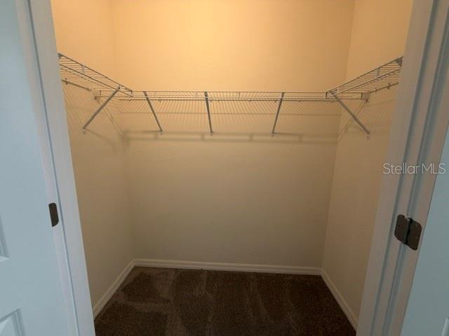 33083 FROSTED CLOVER WAY — photo 31