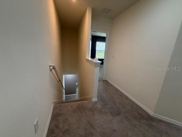 33083 FROSTED CLOVER WAY — photo 21