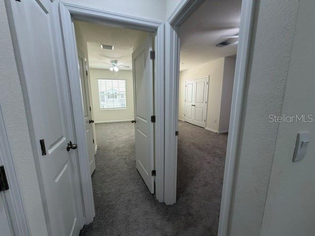 33083 FROSTED CLOVER WAY — photo 26
