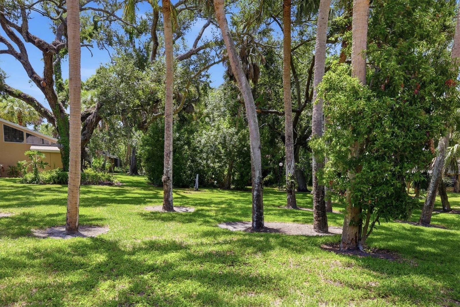 5063 VILLAGE GARDENS DR #9 — photo 24