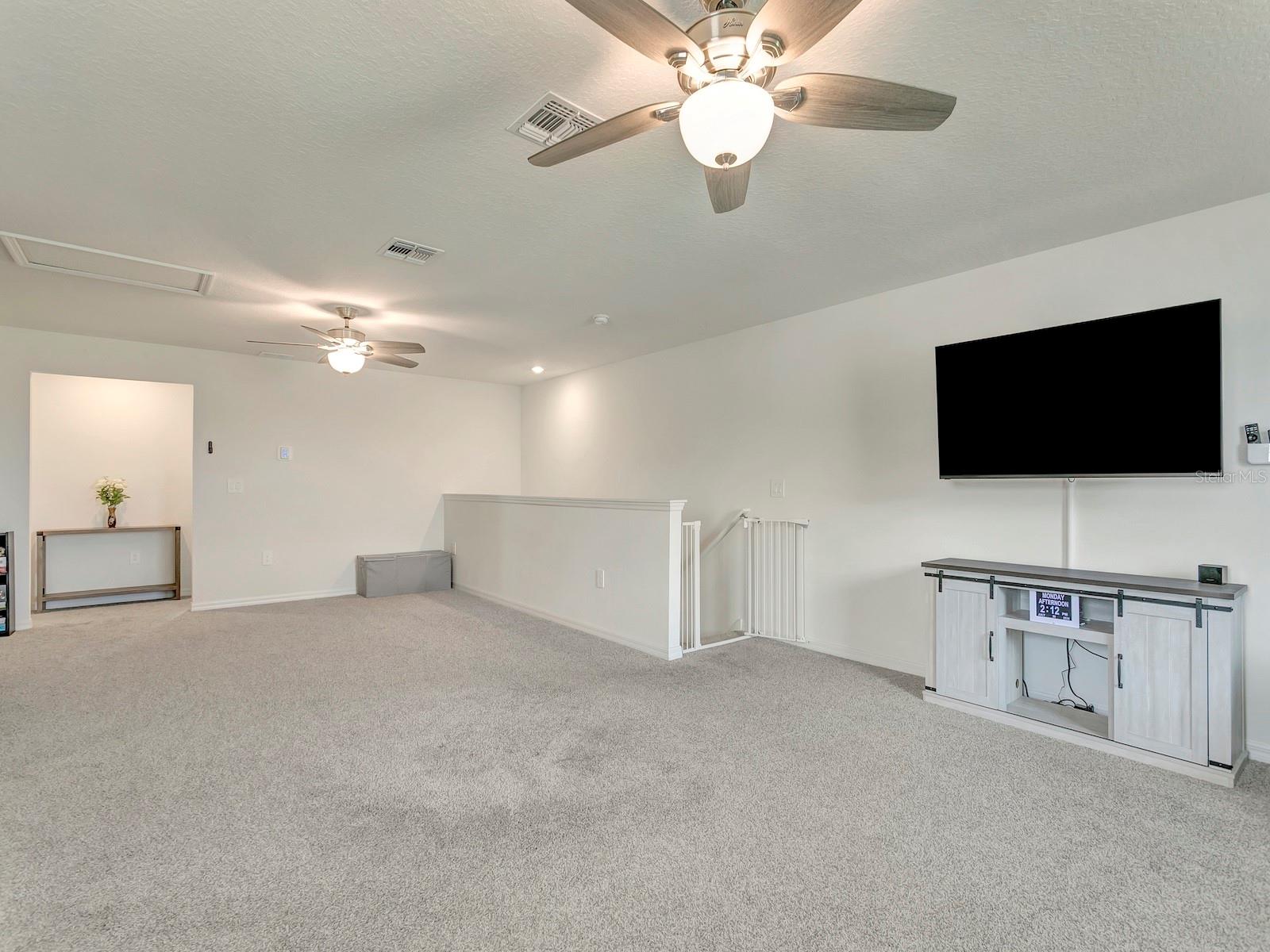 7008 NORRIS LANDING PL — photo 46