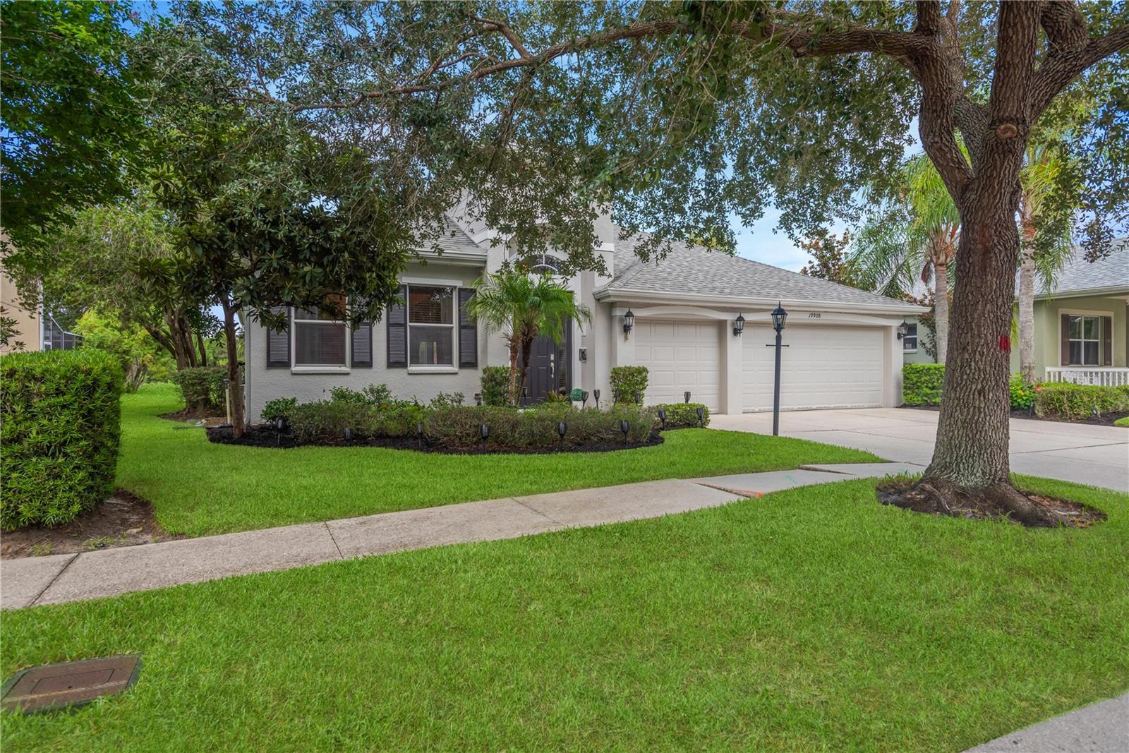19908 BLUFF OAK BLVD — photo 32