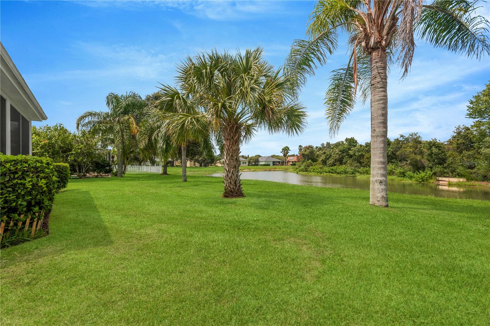19908 BLUFF OAK BLVD — photo 13