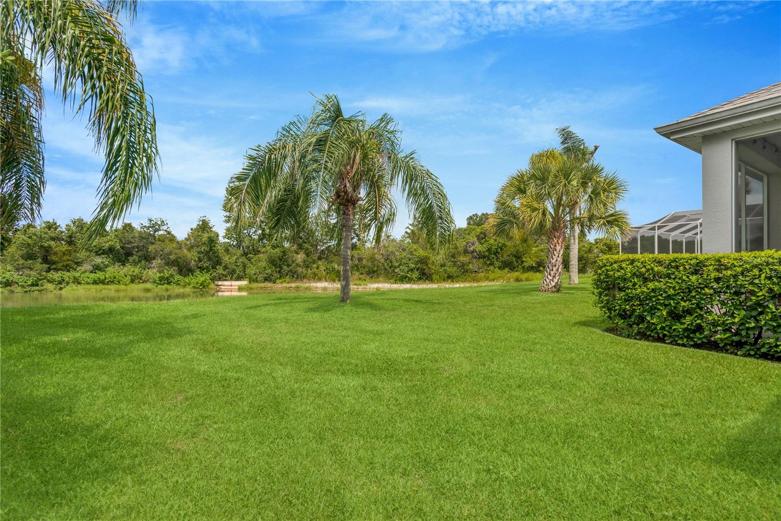 19908 BLUFF OAK BLVD — photo 35