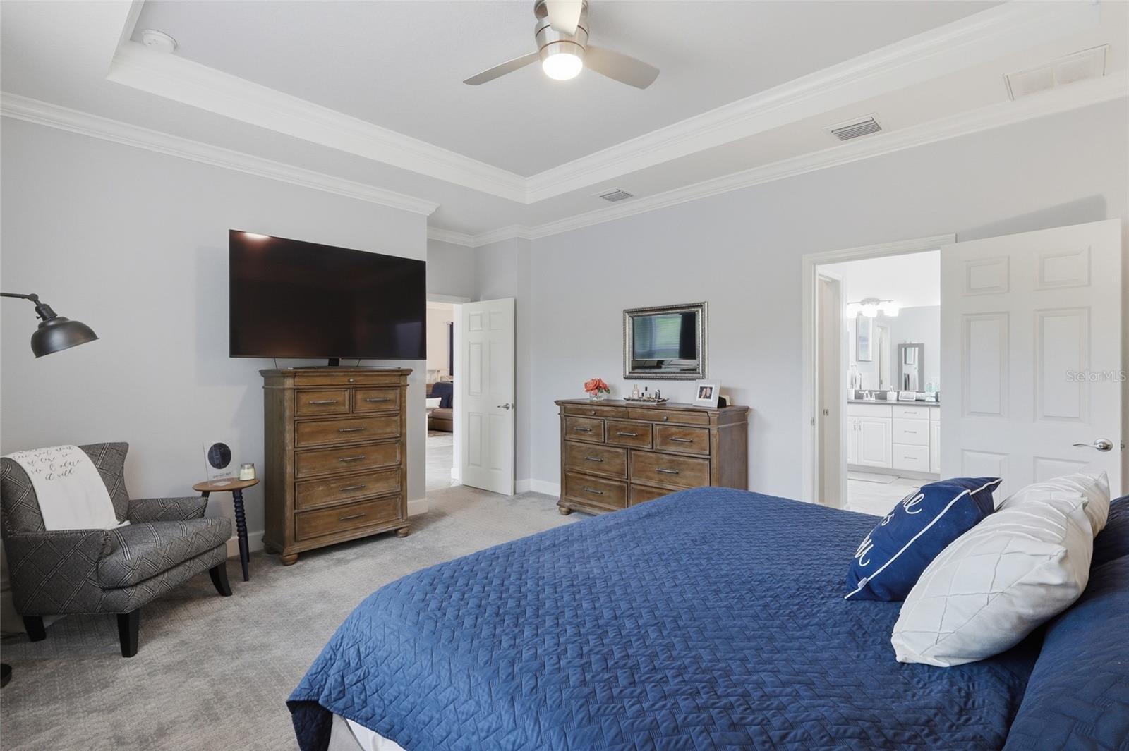27035 CAROLINA ASTER DR — photo 20