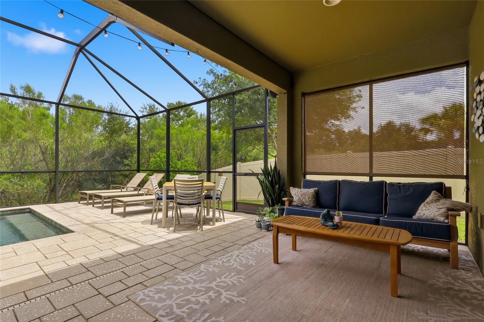 27035 CAROLINA ASTER DR — photo 32
