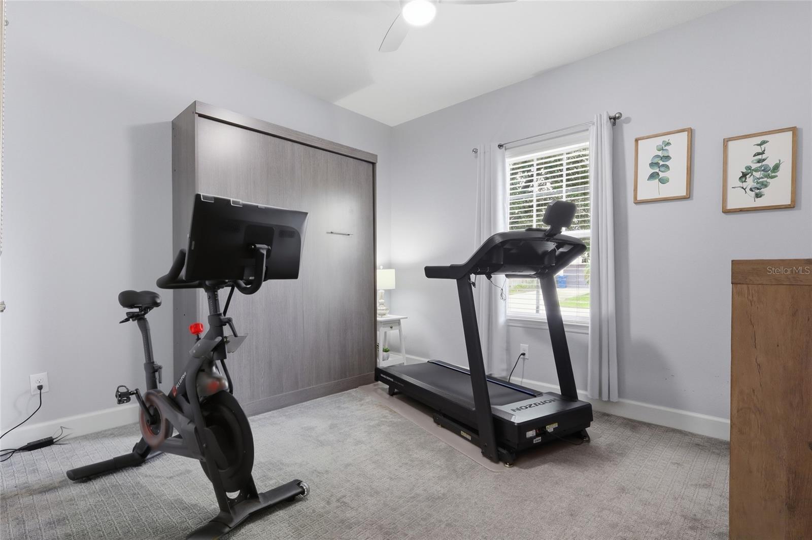 27035 CAROLINA ASTER DR — photo 27