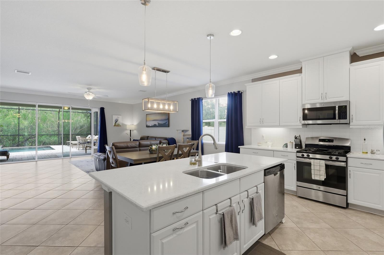 27035 CAROLINA ASTER DR — photo 10