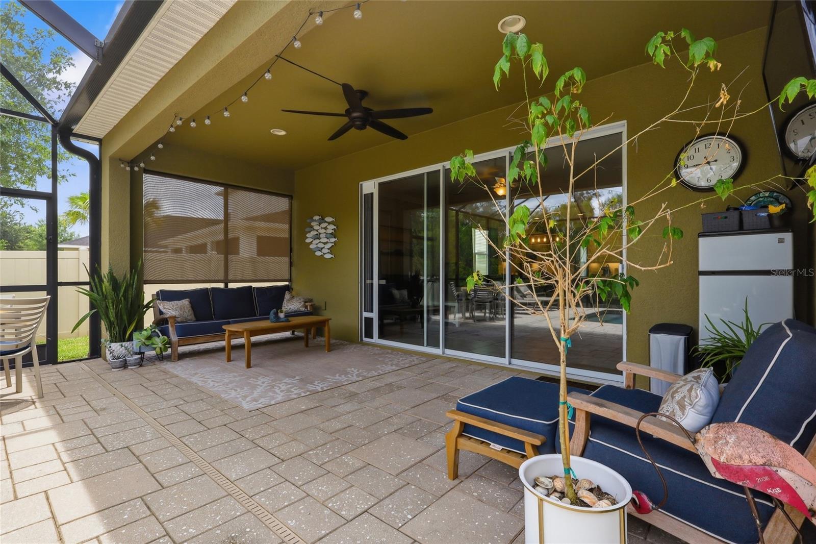 27035 CAROLINA ASTER DR — photo 30
