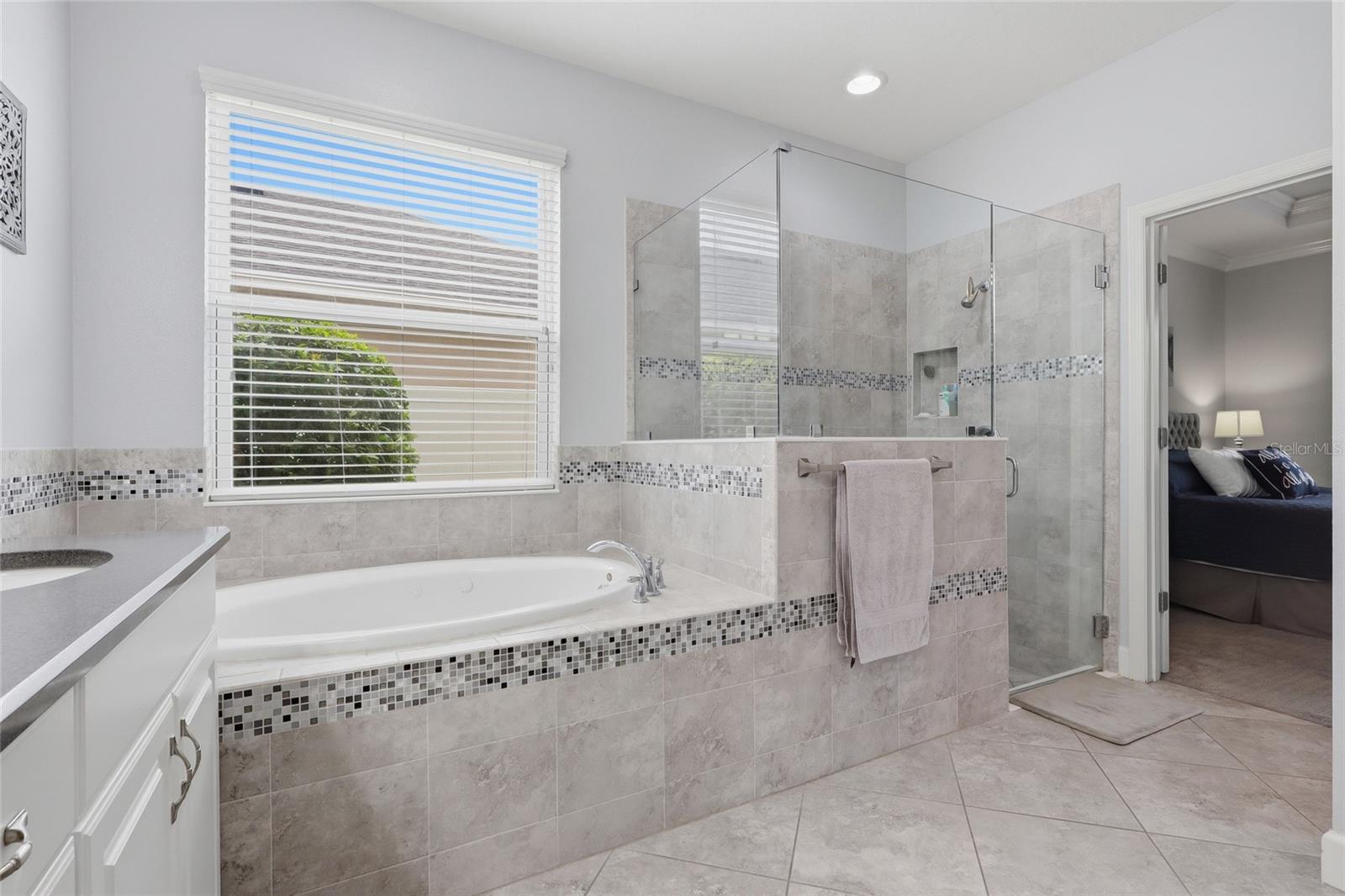 27035 CAROLINA ASTER DR — photo 21