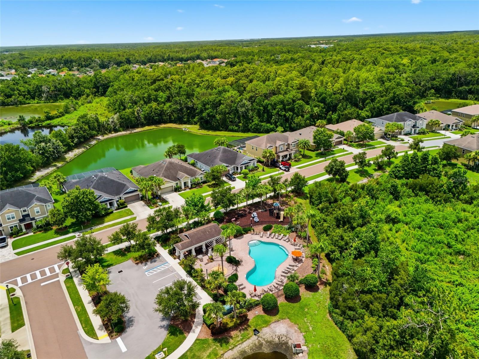 27035 CAROLINA ASTER DR — photo 34