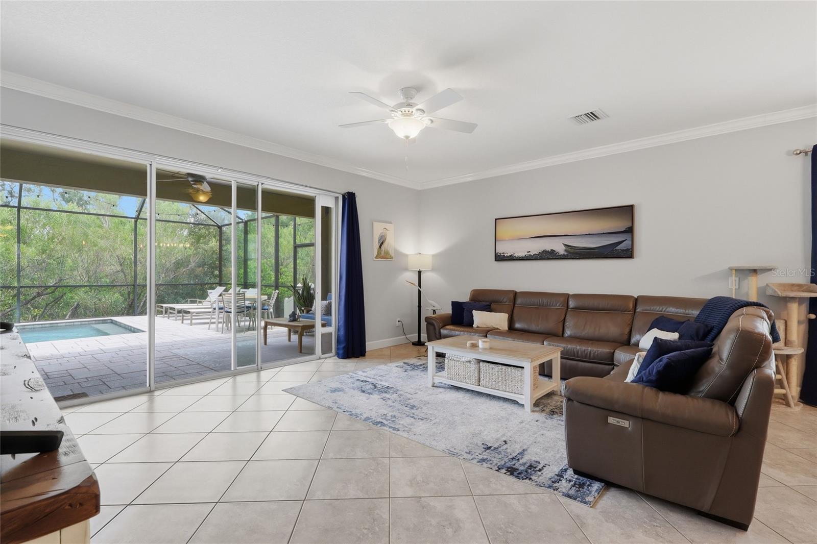27035 CAROLINA ASTER DR — photo 16