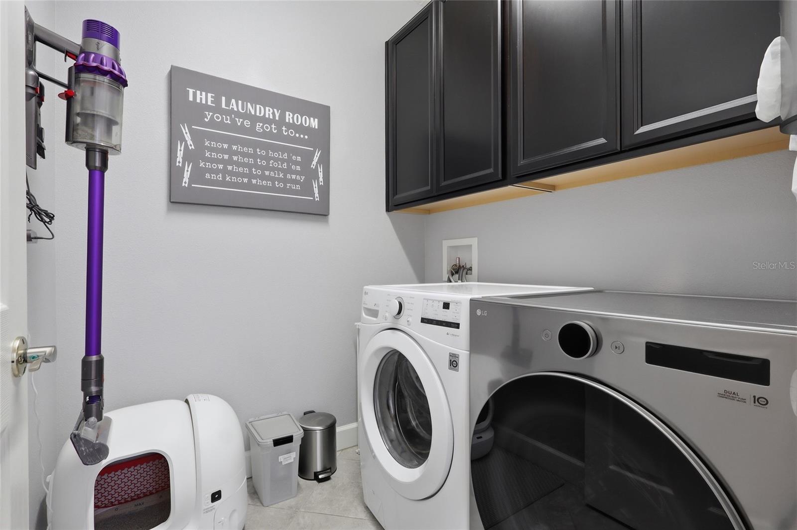 27035 CAROLINA ASTER DR — photo 29