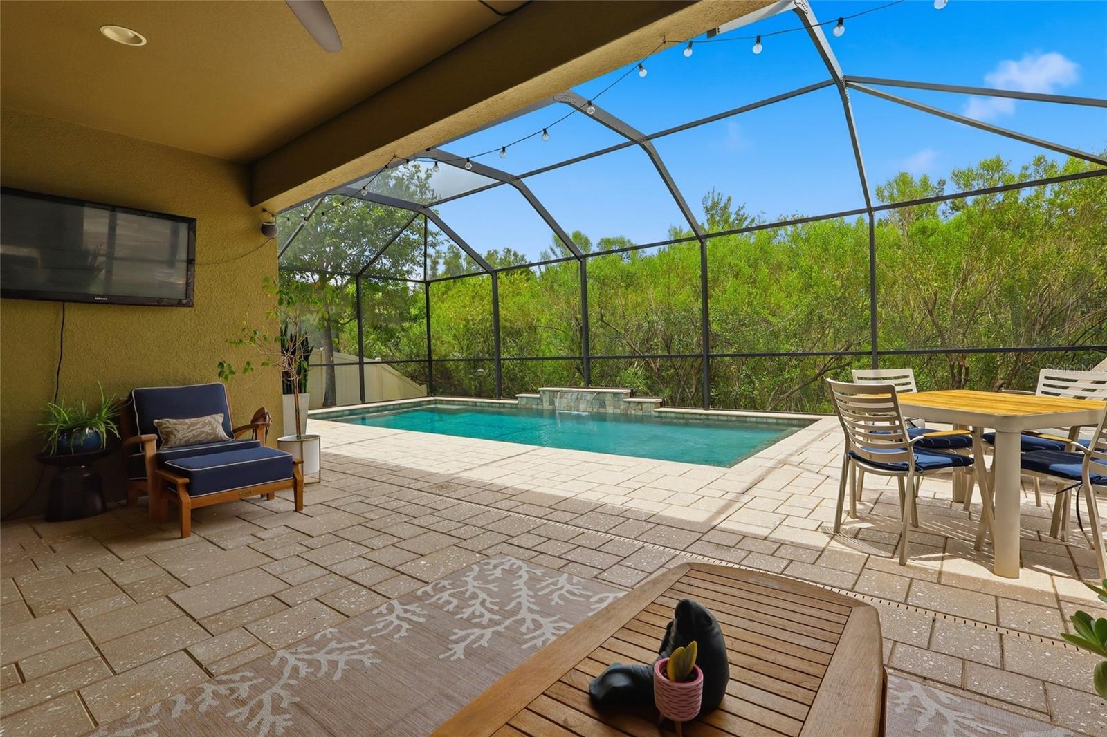 27035 CAROLINA ASTER DR — photo 33