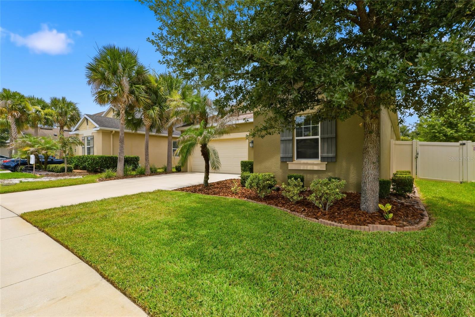 27035 CAROLINA ASTER DR — photo 36