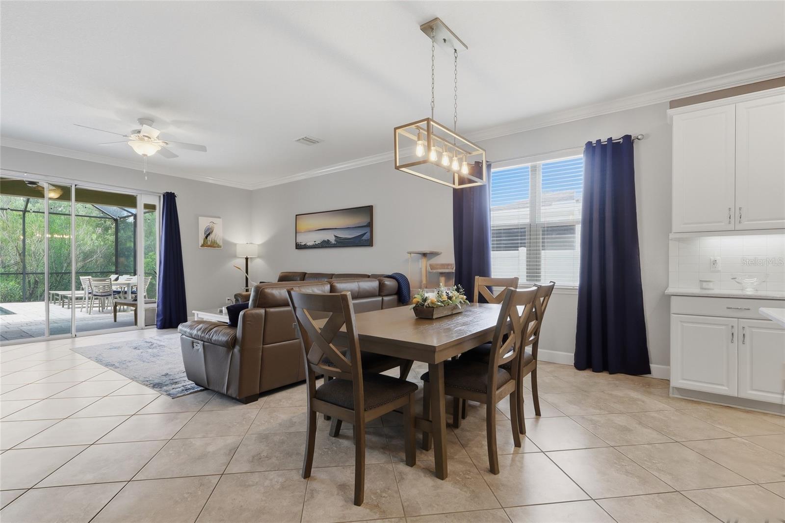 27035 CAROLINA ASTER DR — photo 11