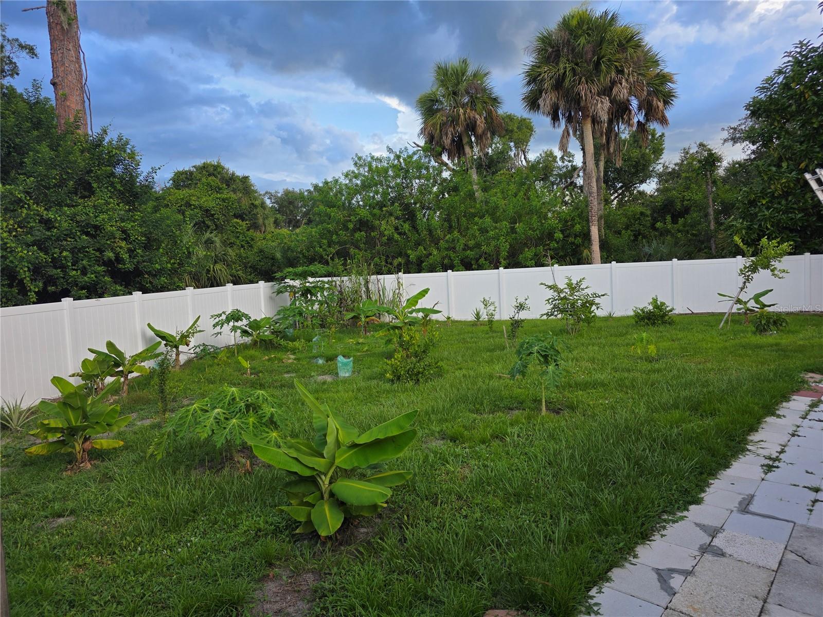 4943 BECKHAM CT — photo 3