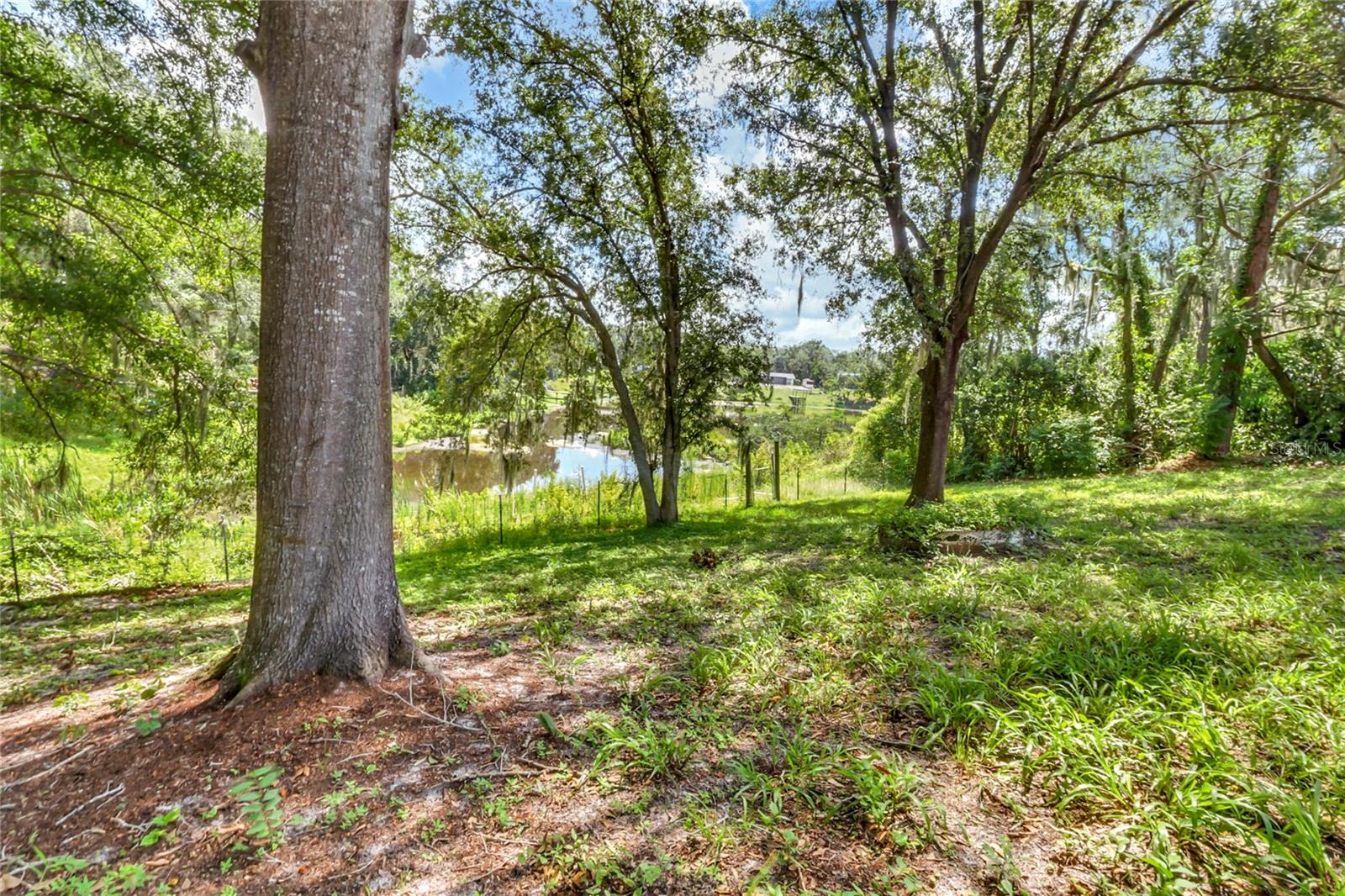 16123 E LAKE BURRELL DR — photo 53