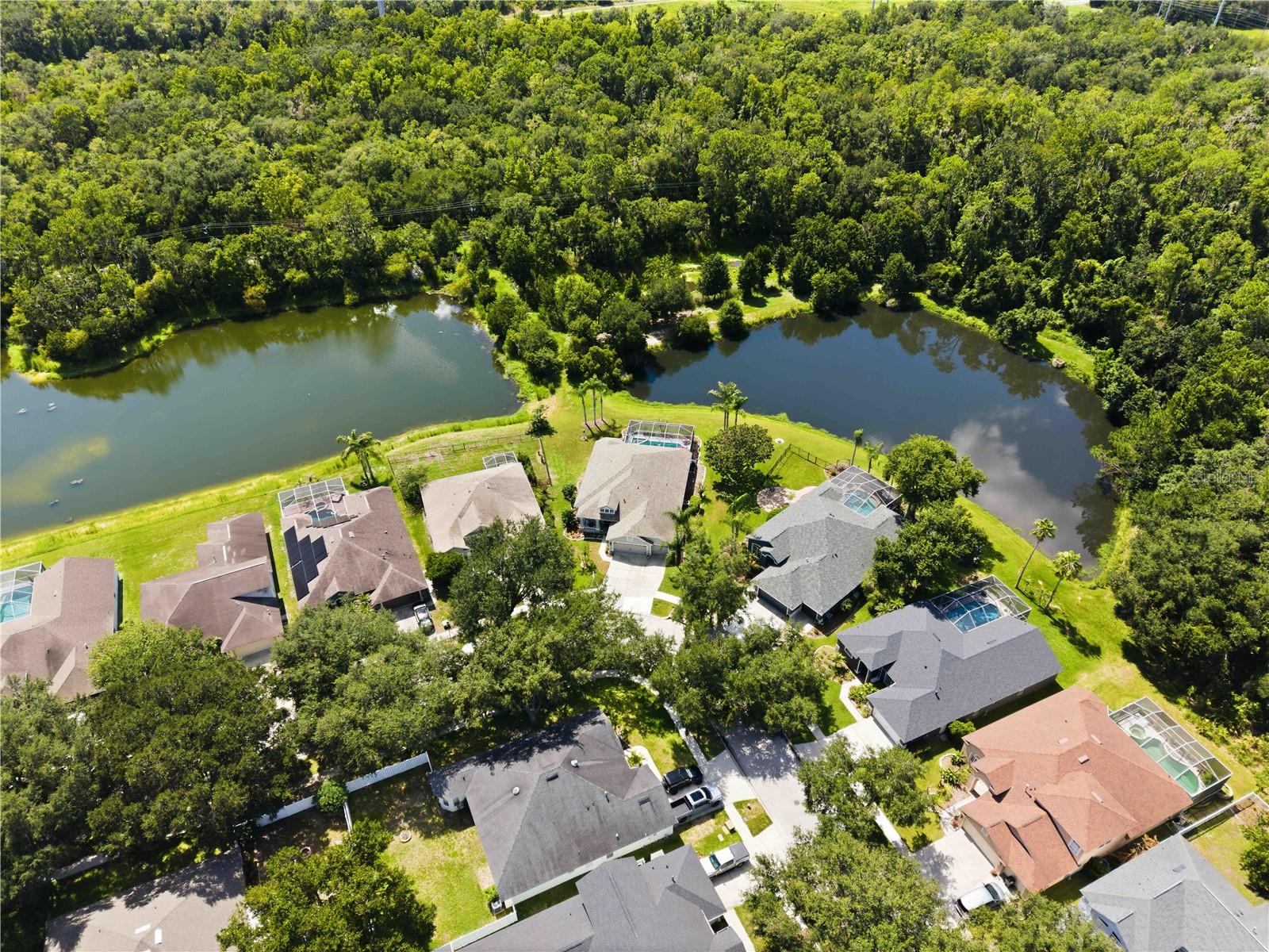 16817 HARRIERRIDGE PL — photo 43