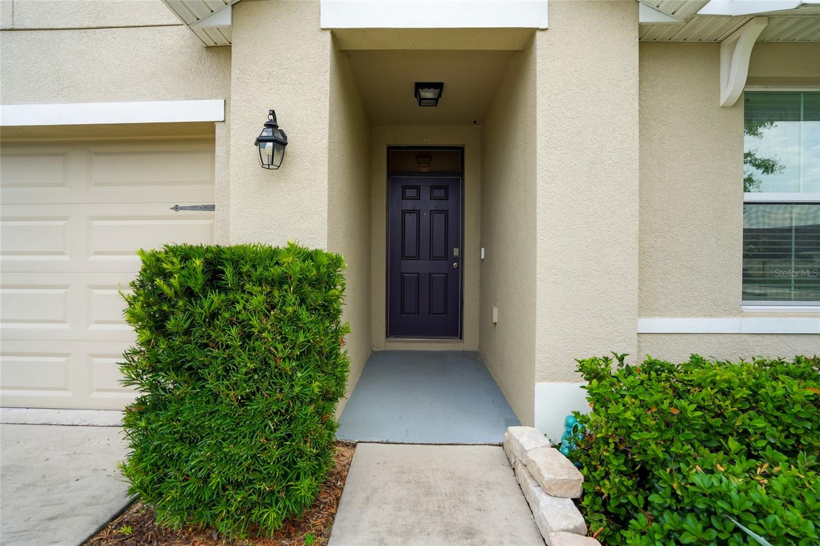 35803 HILLBROOK AVE — photo 3