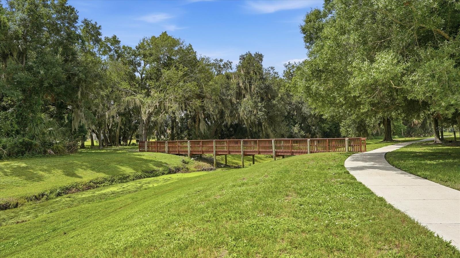 12231 LAVENDER LOOP — photo 42