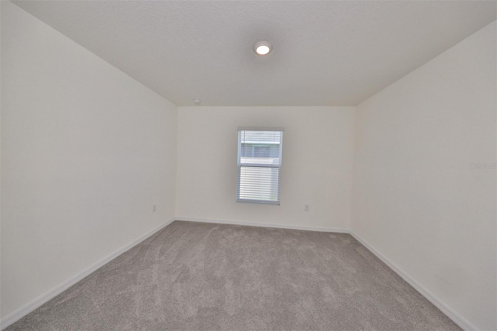 16782 CARLTON POND ST — photo 29