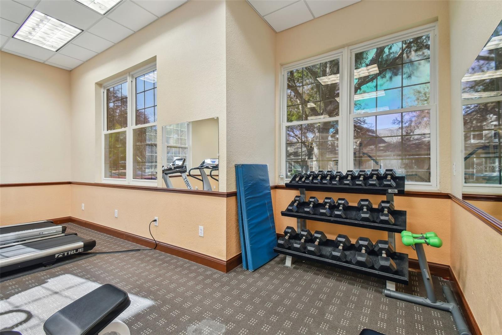 3638 TRAFALGAR WAY #102 — photo 57
