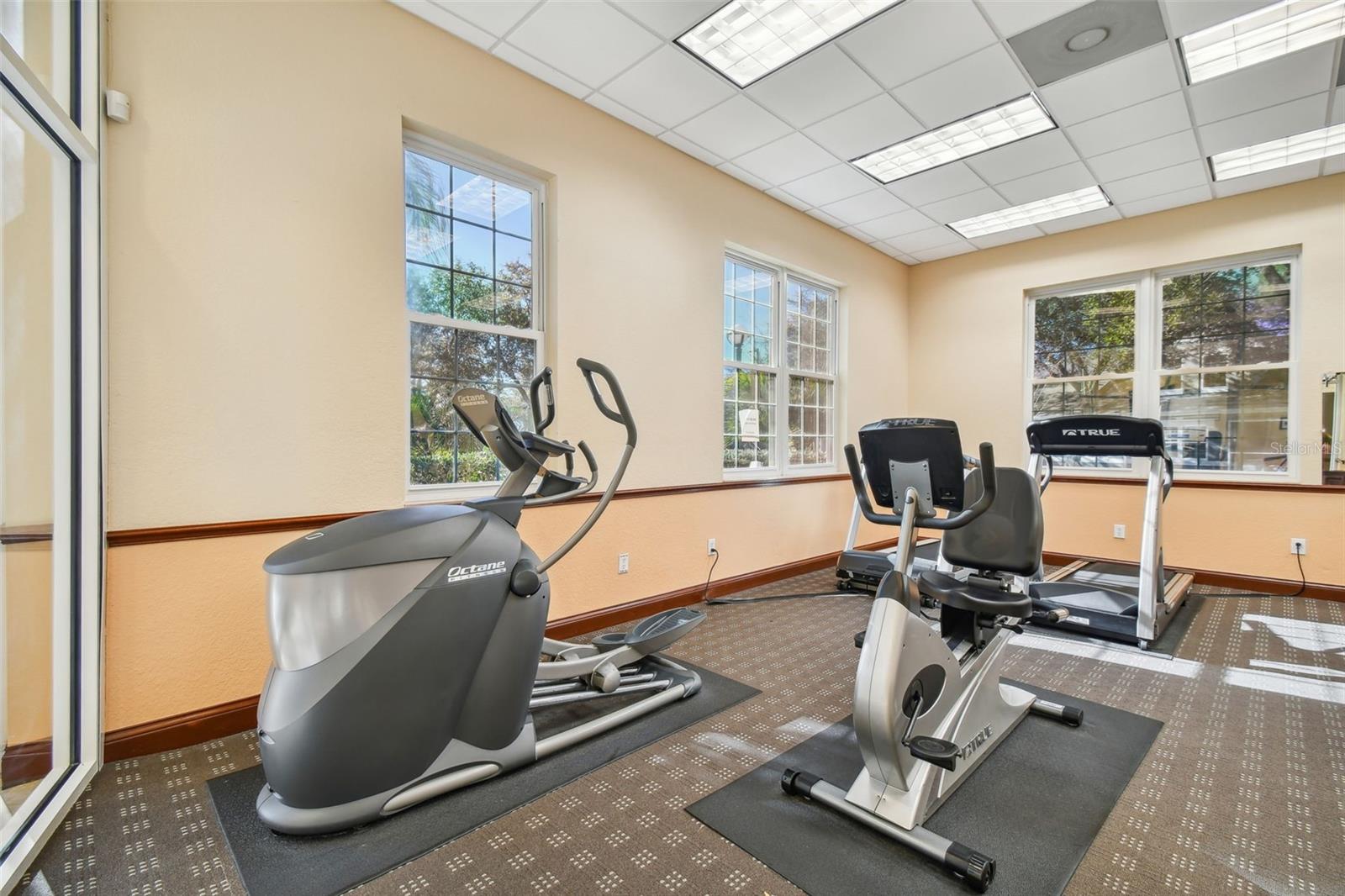3638 TRAFALGAR WAY #102 — photo 55