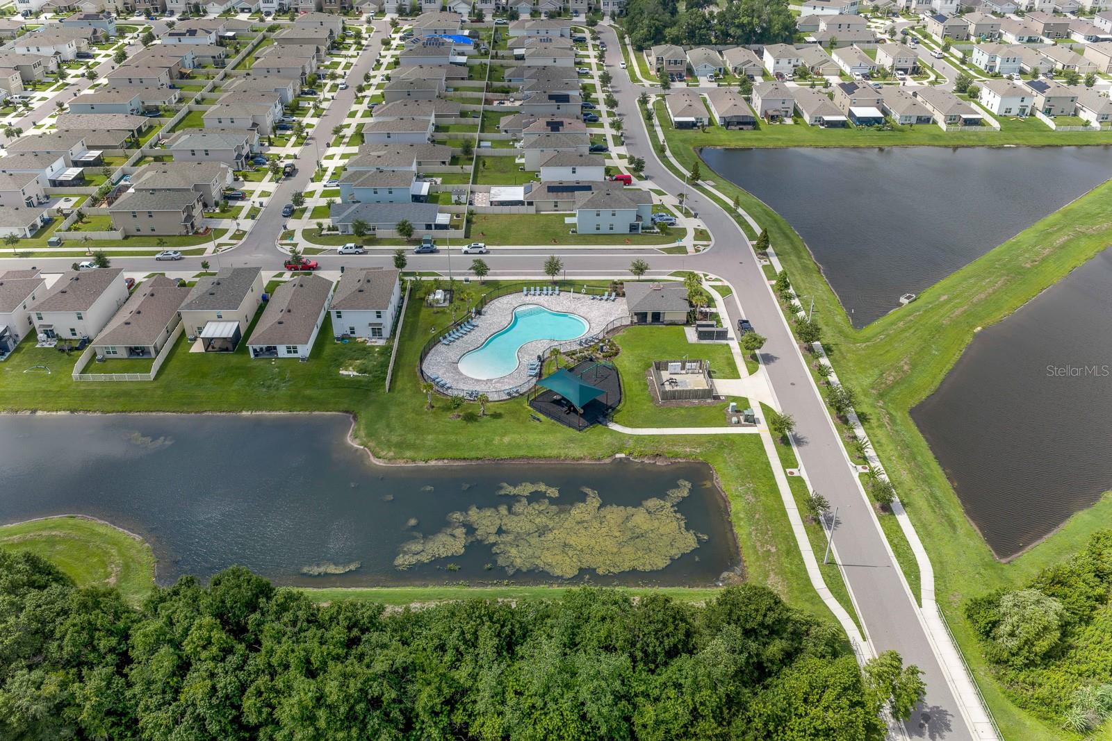 12153 DOWNY BIRCH DR — photo 33