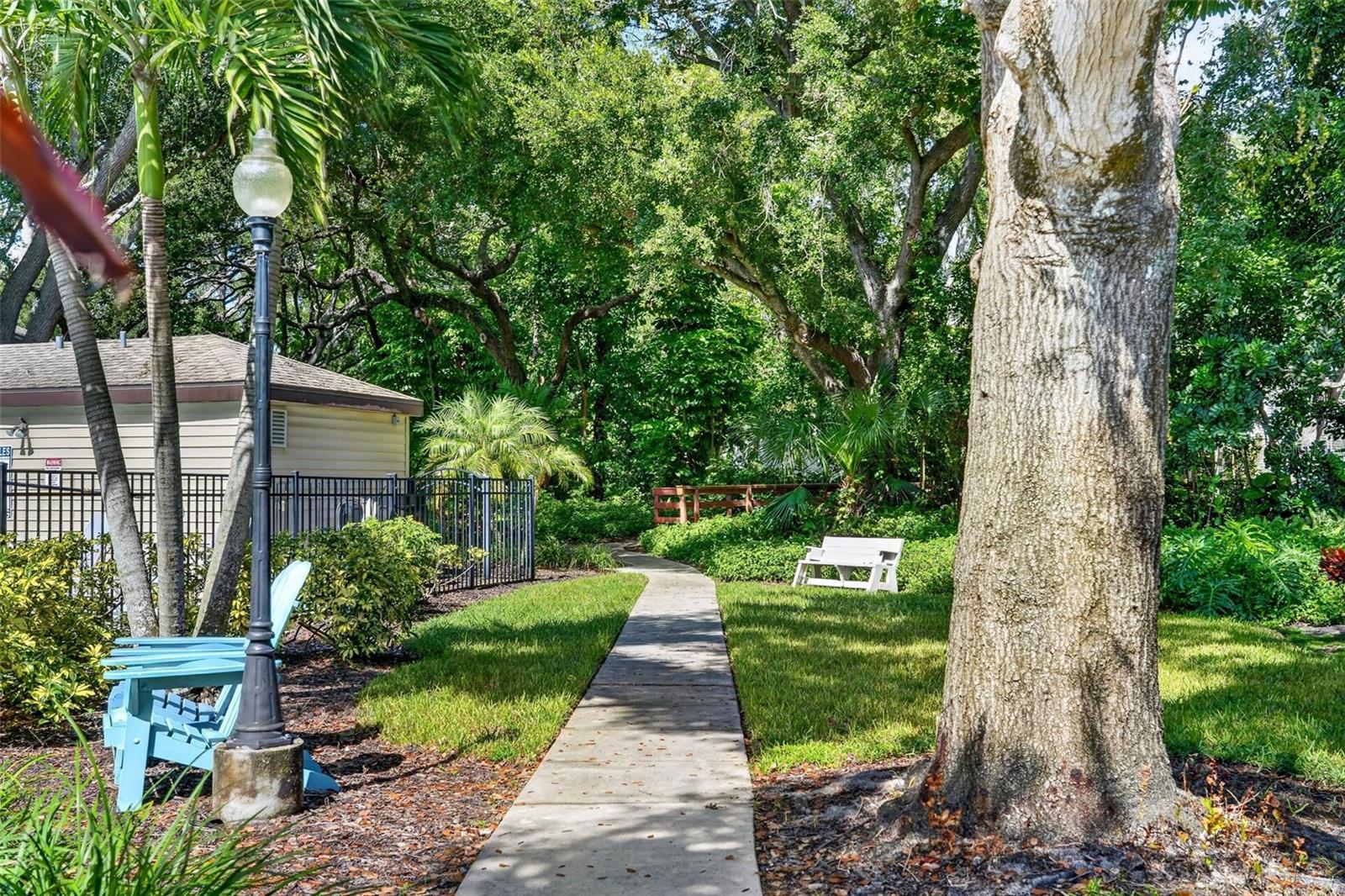 6812 ARBOR OAKS DR — photo 67