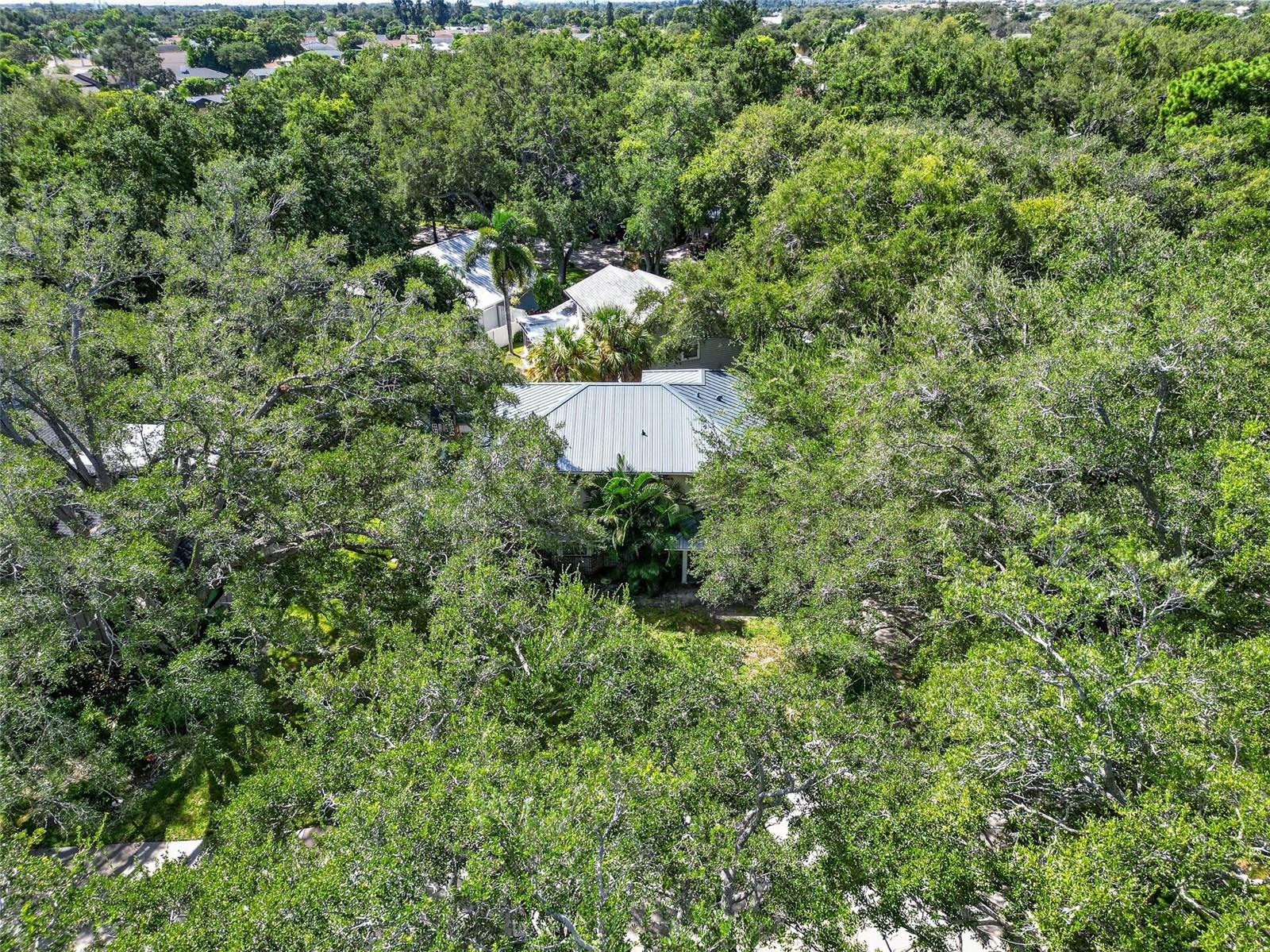 6812 ARBOR OAKS DR — photo 58