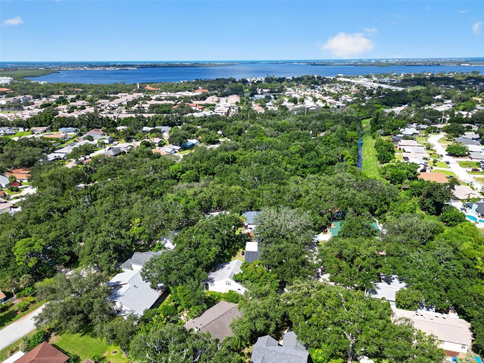 6812 ARBOR OAKS DR — photo 60