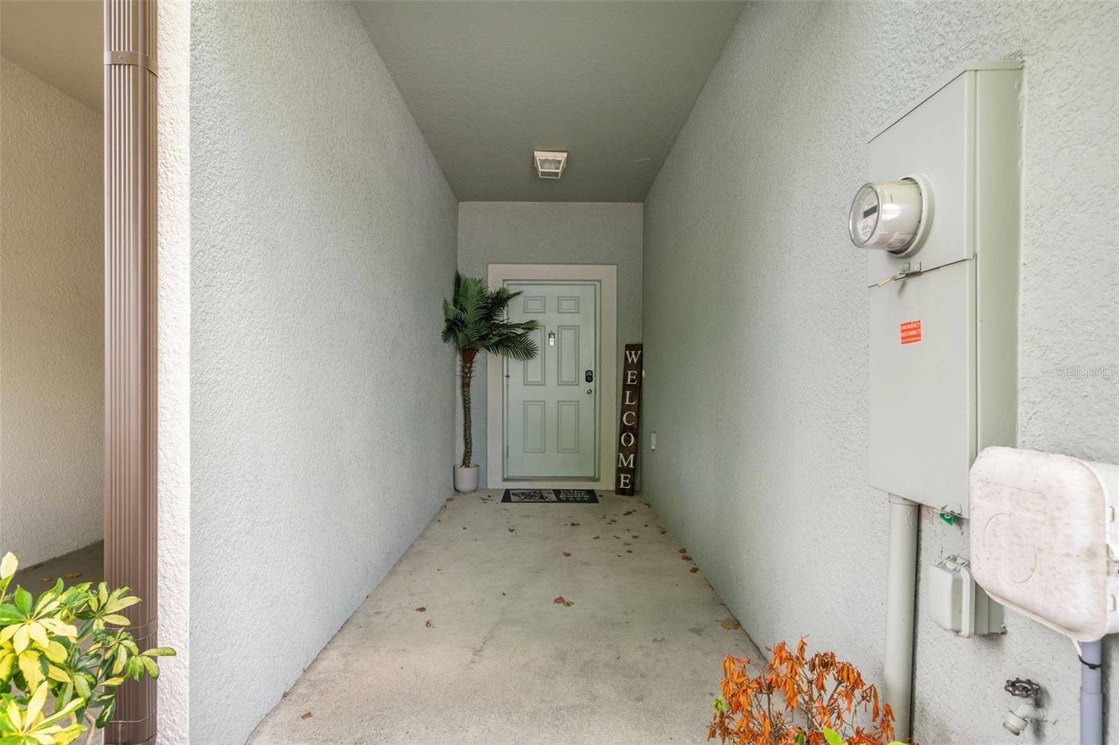 7627 FRENCH MARIGOLD AVE — photo 2