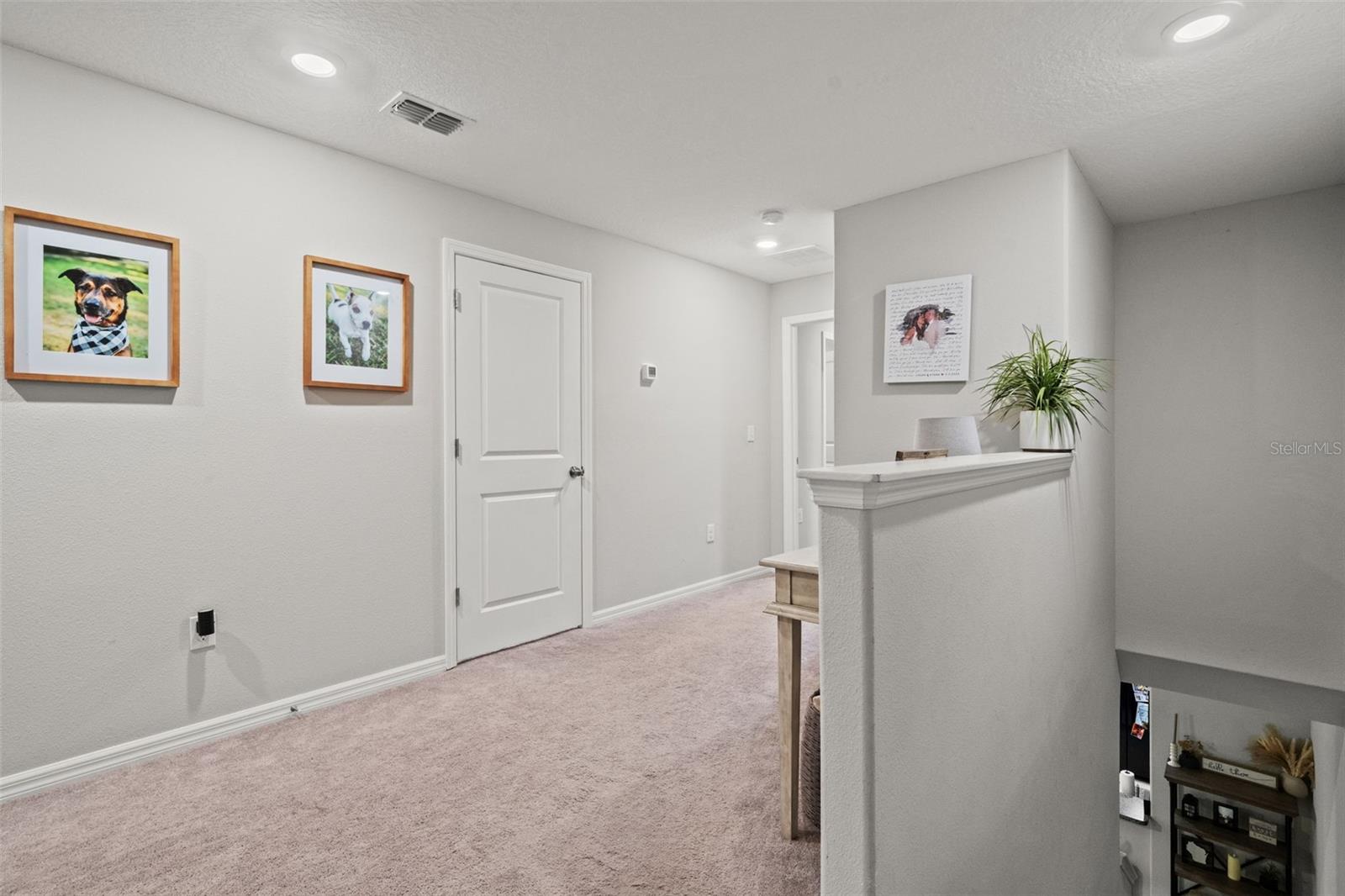 7627 FRENCH MARIGOLD AVE — photo 24