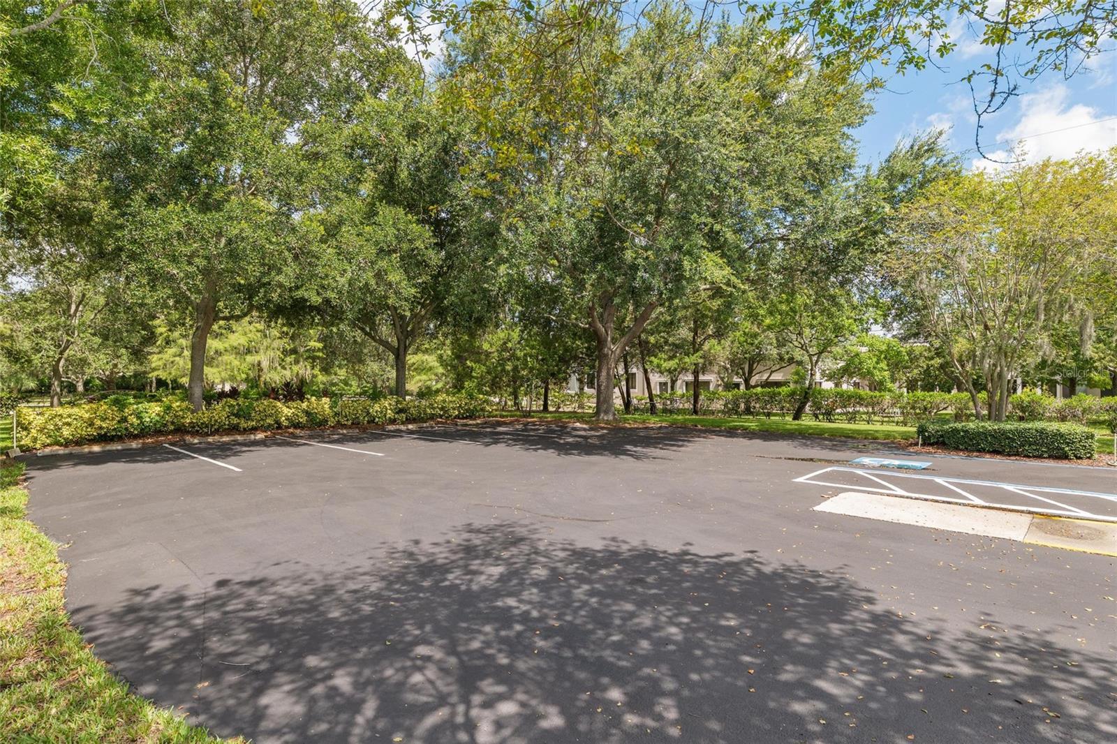 3150 N MCMULLEN BOOTH RD — photo 13