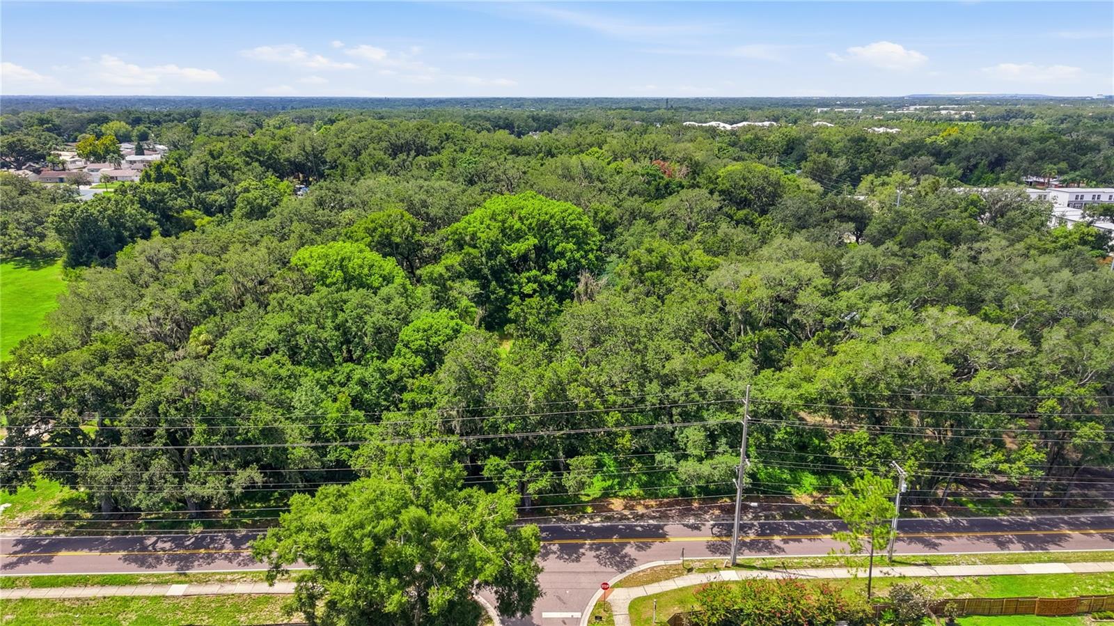 11211 CLAY PIT RD — photo 17