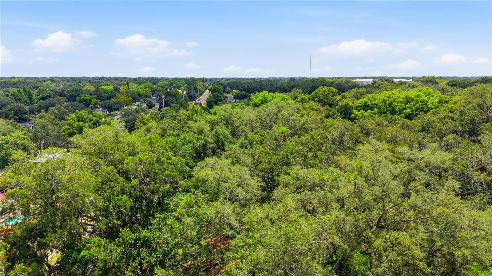 11211 CLAY PIT RD — photo 13